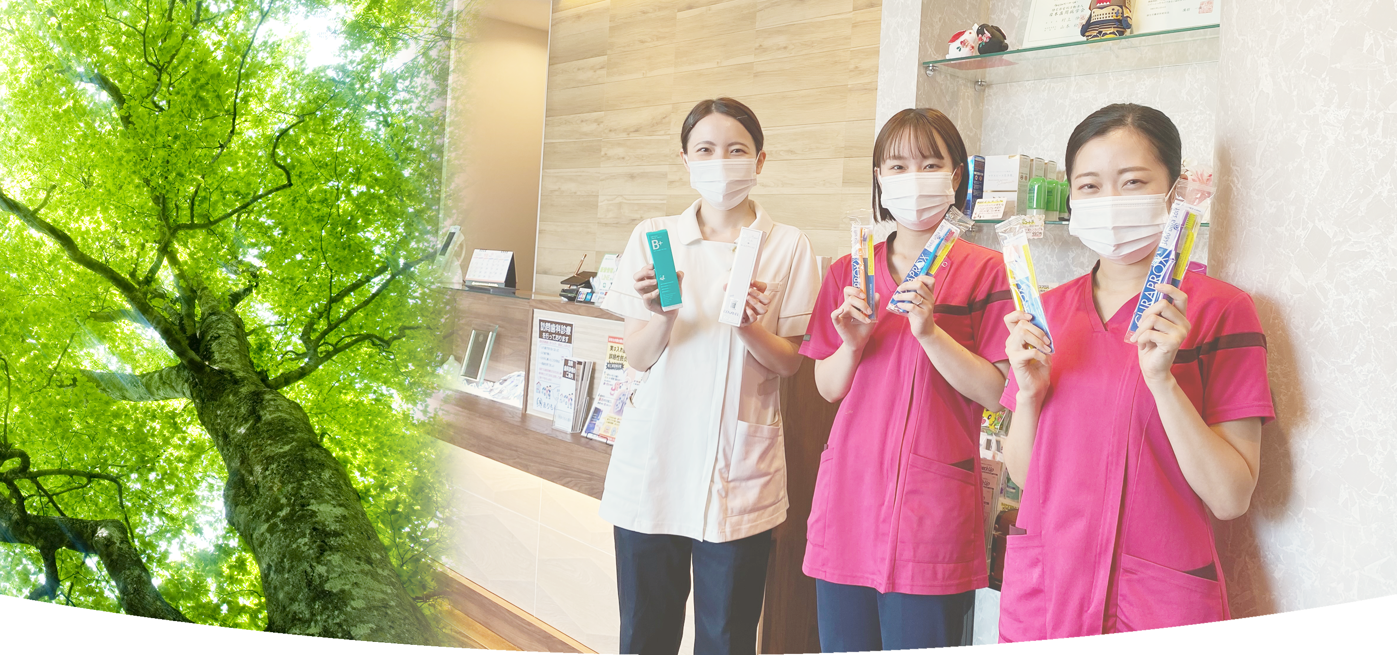 メインビジュアル